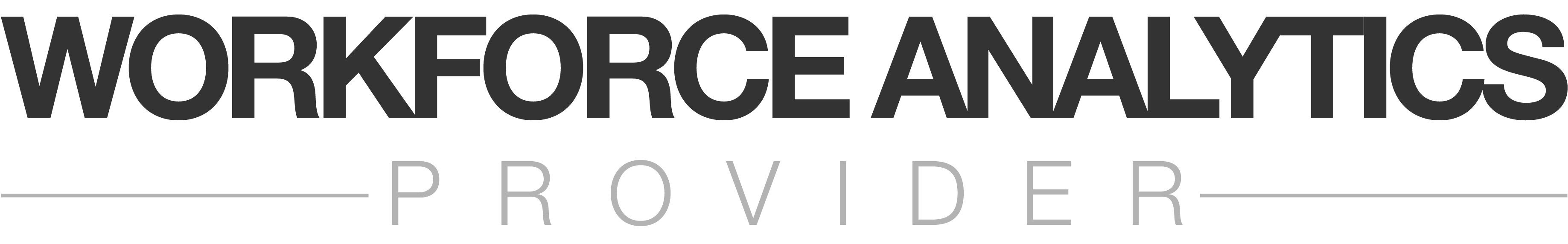 Workforce Analytics Provider
