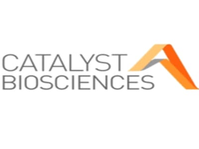 catalyst 